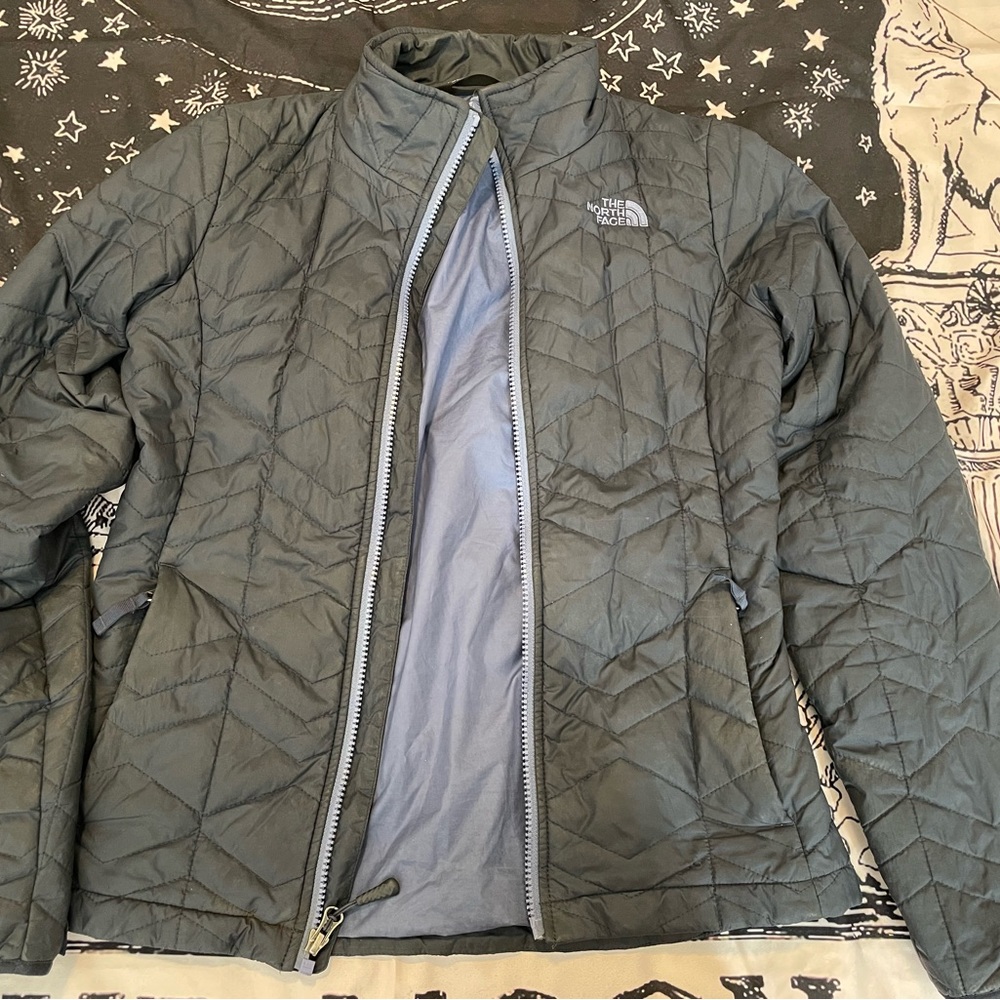 The North Face Blue Quilted Jacket